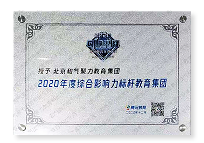 2020年度綜合影響力標桿教育集團